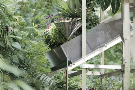 Flower Room